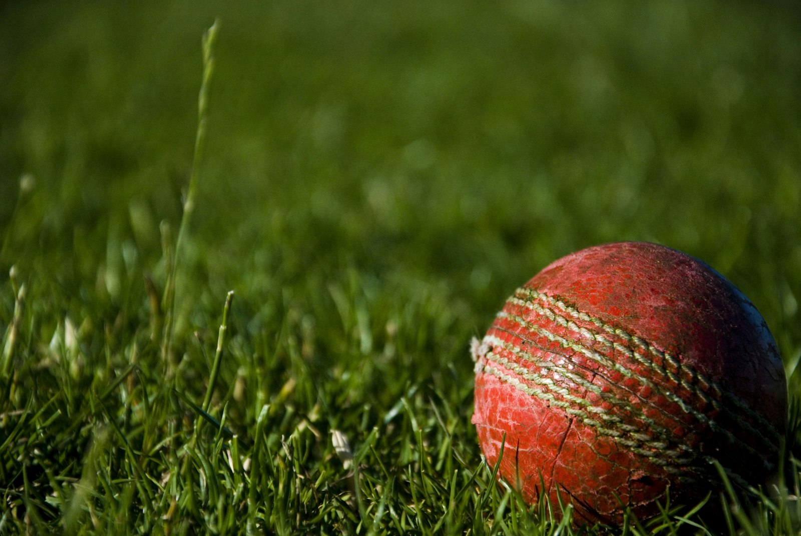 PPSC Tehsil Sports Officer jobs 2026 – representational image of a red cricket ball
